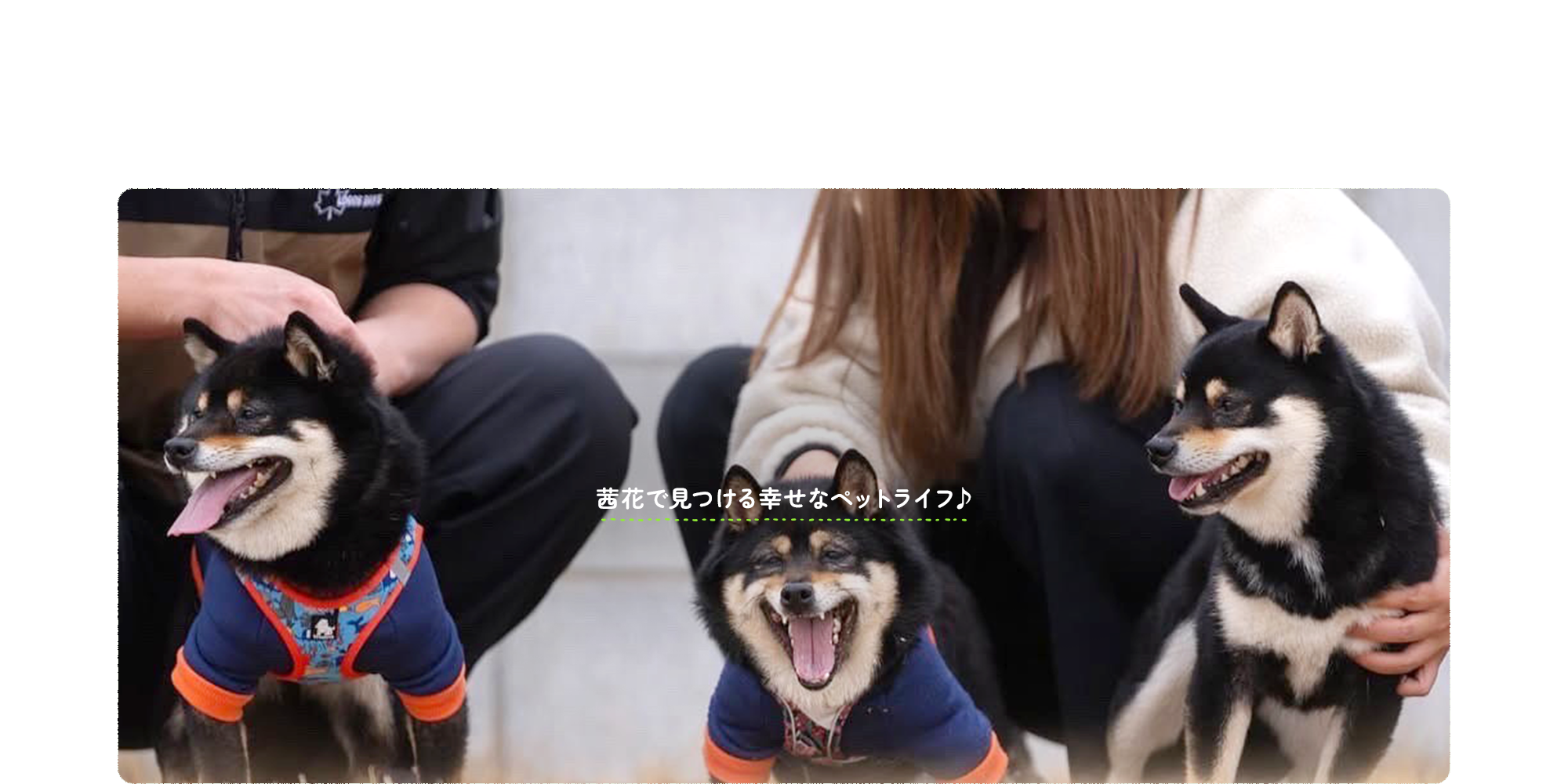茜花で見つける幸せなペットライフ♪2